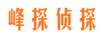 犍为市调查公司